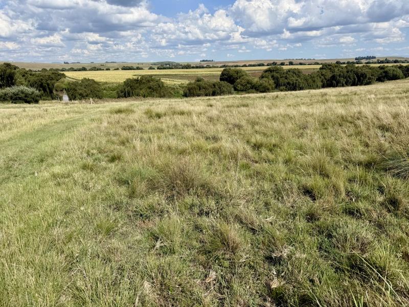 0 Bedroom Property for Sale in Harrismith Free State